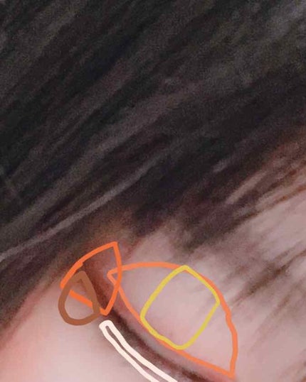 アイカラーパレット/ティアラガール/アイシャドウパレットを使ったクチコミ(3枚目)