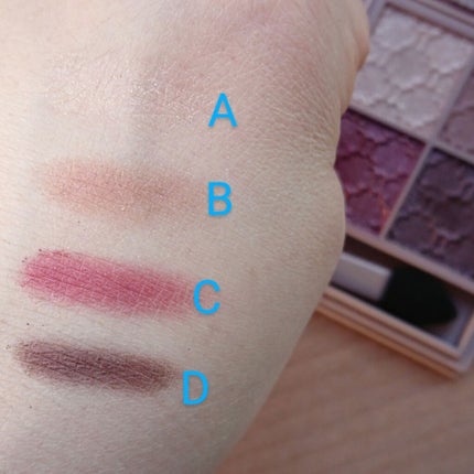 グロッシーリッチ アイズ N/Visée/アイシャドウパレットを使ったクチコミ(3枚目)