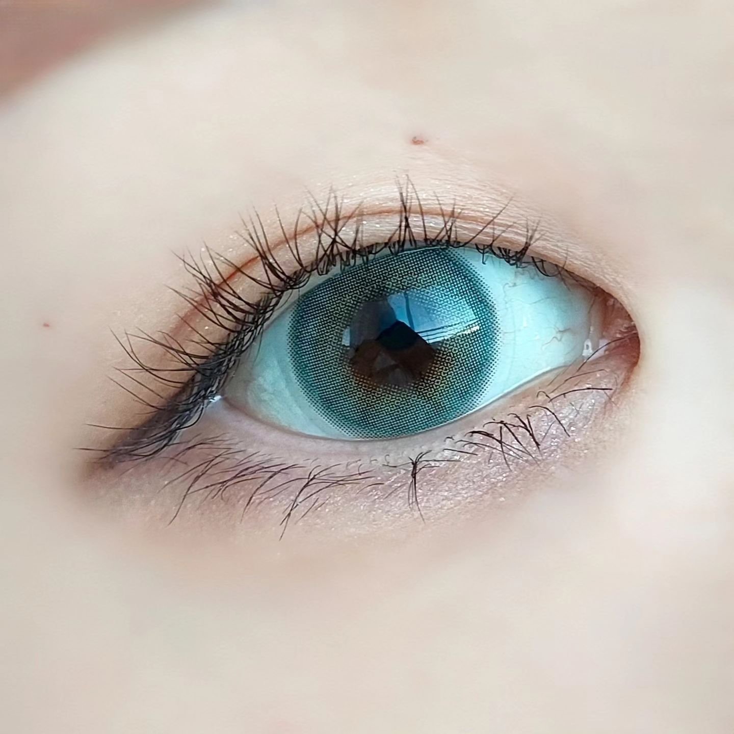 FrenchShine1day/OLENS/ワンデー（１DAY）カラコンを使ったクチコミ（3枚目）