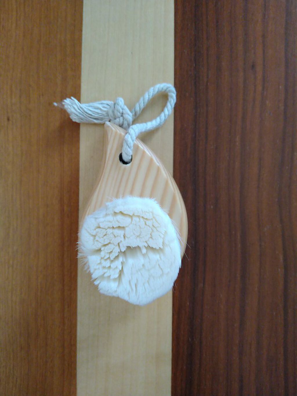 ごくやわ洗顔ブラシ 極細毛先/DAISO/その他スキンケアグッズを使ったクチコミ（1枚目）