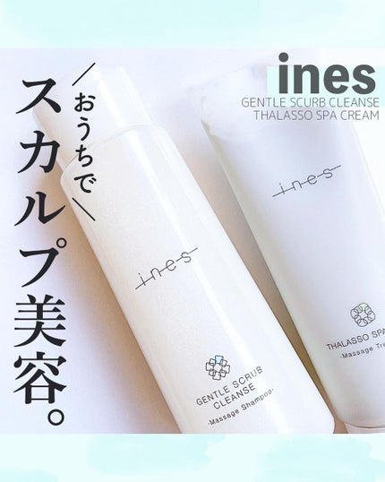ジェントル スクラブ クレンズ/ines/市販シャンプーを使ったクチコミ(1枚目)