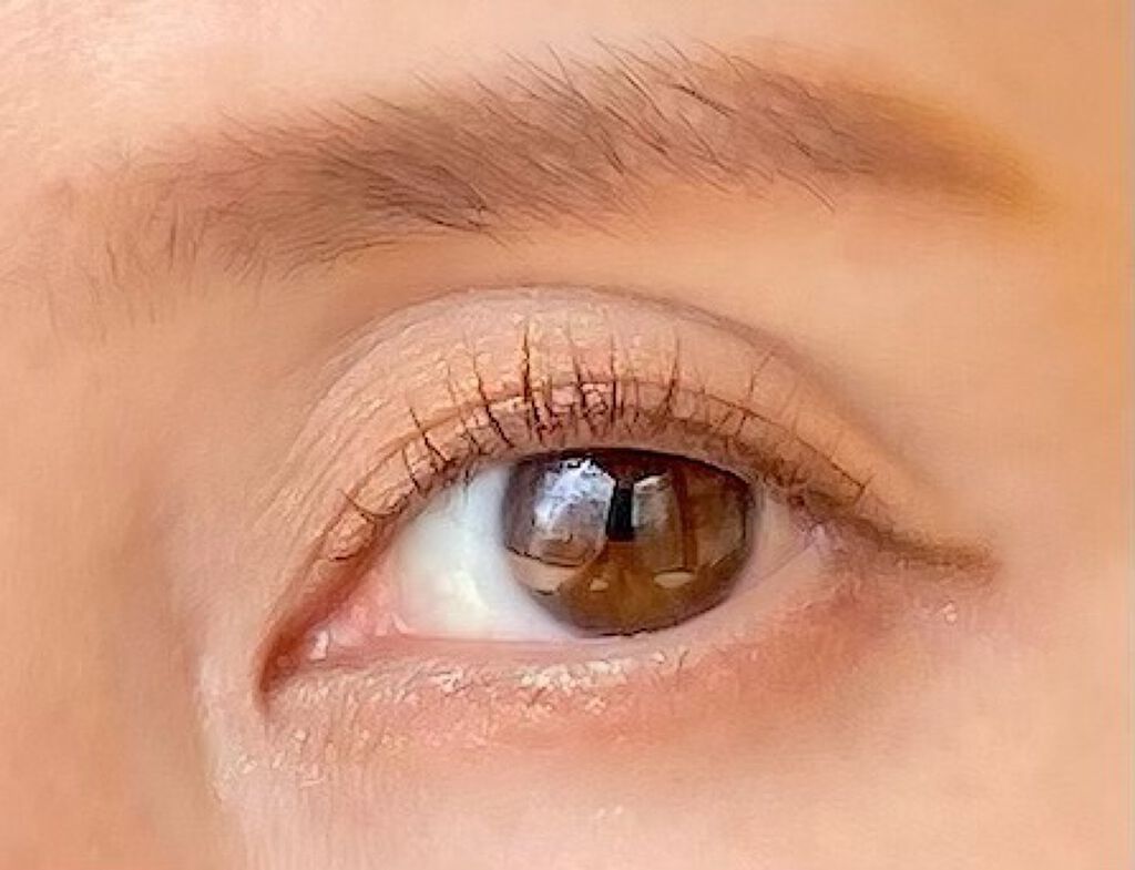 サンリットアイパレット/AMUSE/アイシャドウパレットを使ったクチコミ(6枚目)