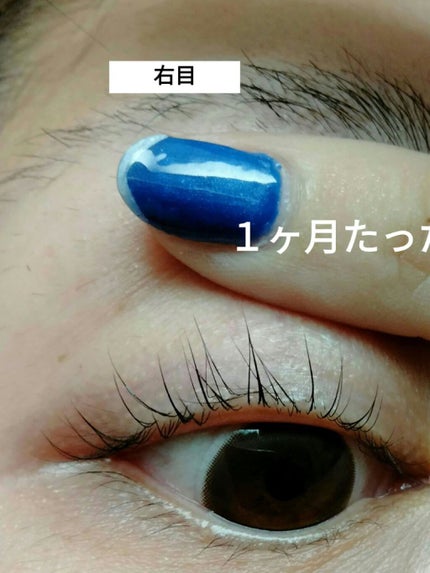 EMAKED(エマーキット)/水橋保寿堂製薬/まつげ美容液を使ったクチコミ(3枚目)