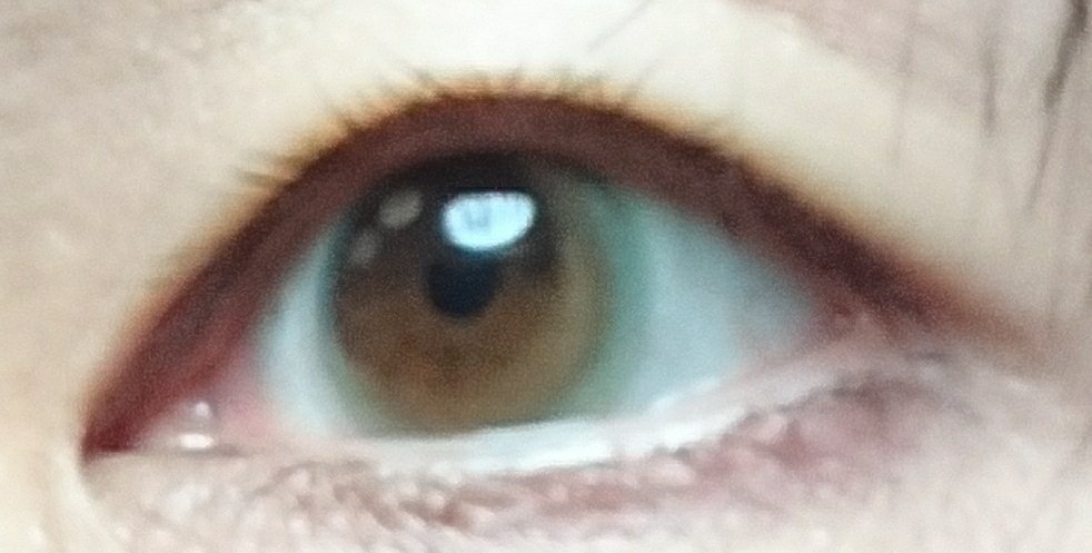 ワンデーリフレア　メレシェス/Refrear/ワンデー（１DAY）カラコンを使ったクチコミ（3枚目）