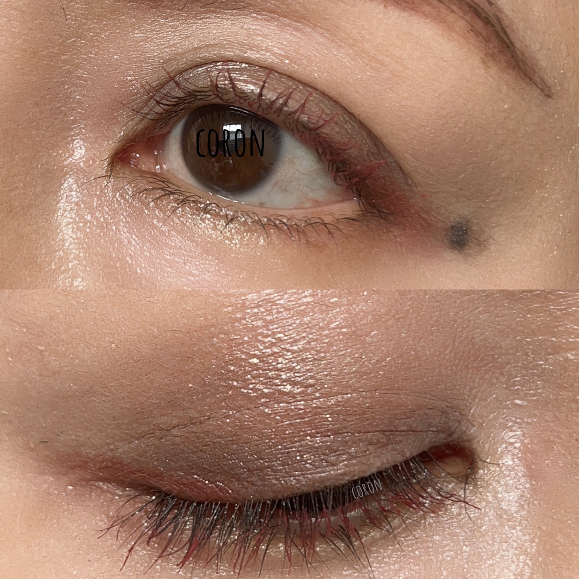 エクストラロング カラーマスカラ/Amplitude/マスカラを使ったクチコミ（2枚目）