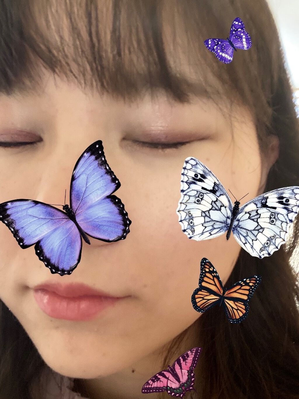 アクセントカラーアイズ CC/インテグレート/アイシャドウパレットを使ったクチコミ（2枚目）