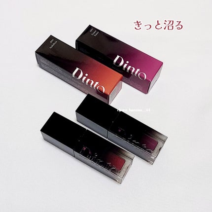 ブラーグロイリップティント 201 ノビリタス/Dinto/リップティントを使ったクチコミ(2枚目)