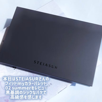 フィット my カラーパレット/STEIASUR(ステイアシュール)/マルチパレットを使ったクチコミ(2枚目)