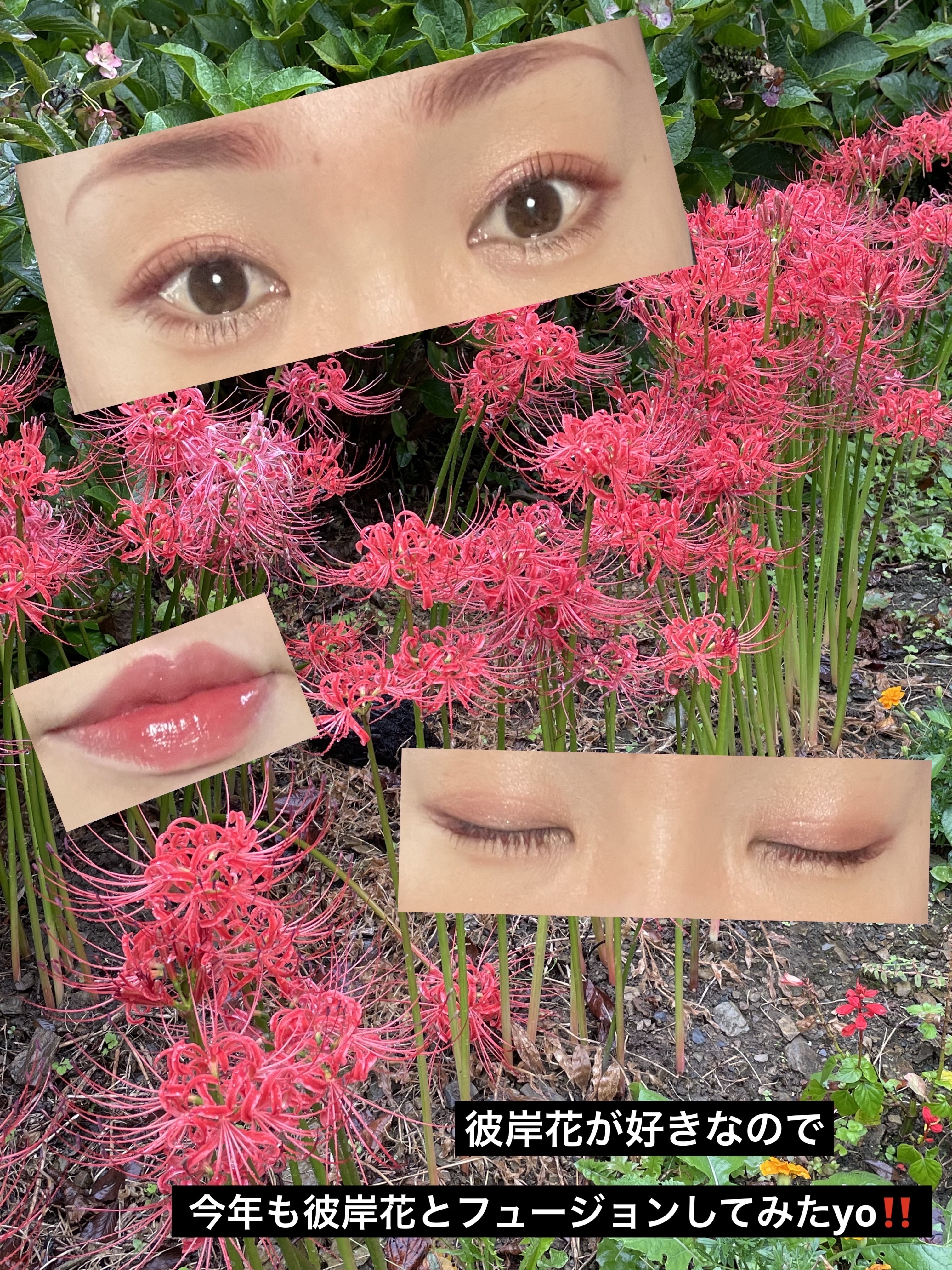 ベージュトーンアイシャドウ/CEZANNE/アイシャドウパレットを使ったクチコミ（2枚目）