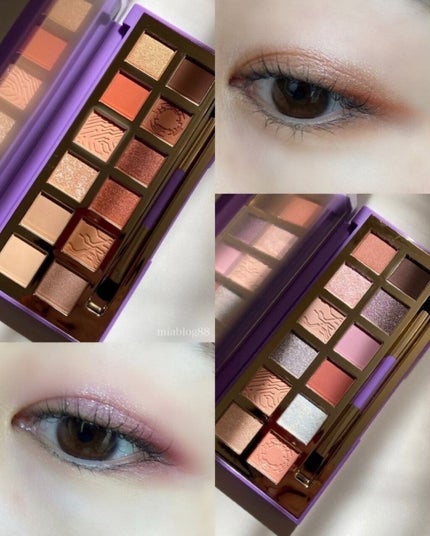 Hexze PRO流れ星釉薬12色アイシャドウ/HEXZE(ヘックスゼ)/アイシャドウパレットを使ったクチコミ(6枚目)