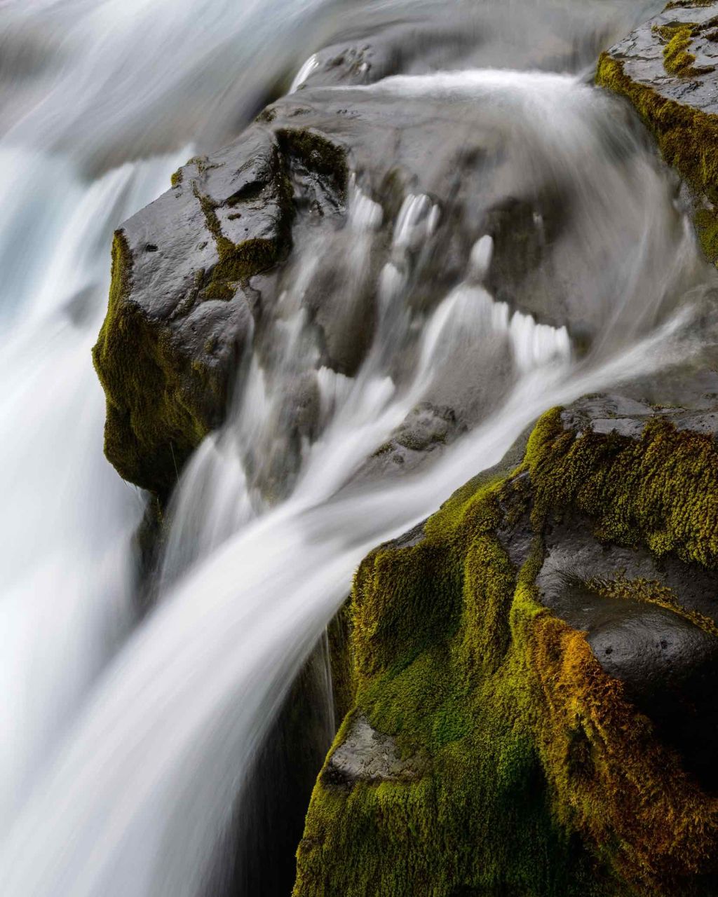 オペラ リップティント N/OPERA/リップティントを使ったクチコミ(1枚目)