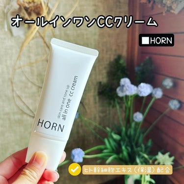 オールオインワンCCクリーム/HORN/化粧下地を使ったクチコミ（1枚目）