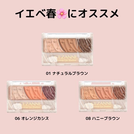 トーンアップアイシャドウ/CEZANNE/アイシャドウパレットを使ったクチコミ(2枚目)