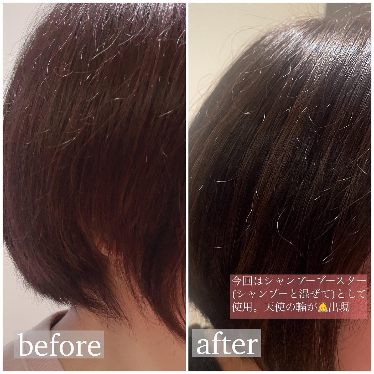 オーガニックヘアシロップ/PINKGHOST/ヘアオイルを使ったクチコミ(3枚目)