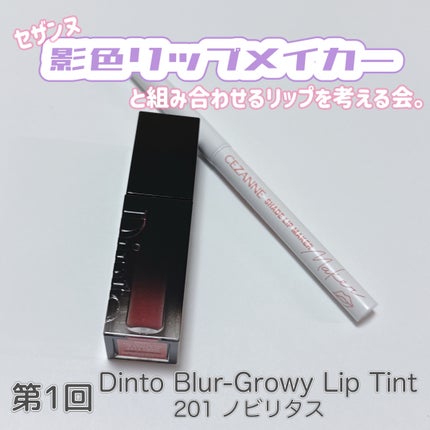 ブラーグロイリップティント/Dinto/リップティントを使ったクチコミ(1枚目)