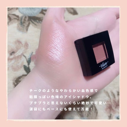 ヴィセ アヴァン シングルアイカラー/Visée/単色アイシャドウを使ったクチコミ(2枚目)