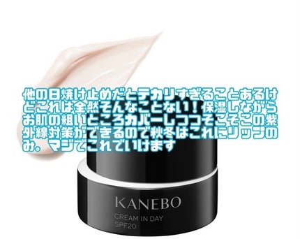 クリーム イン デイ/KANEBO/フェイスクリームを使ったクチコミ(1枚目)