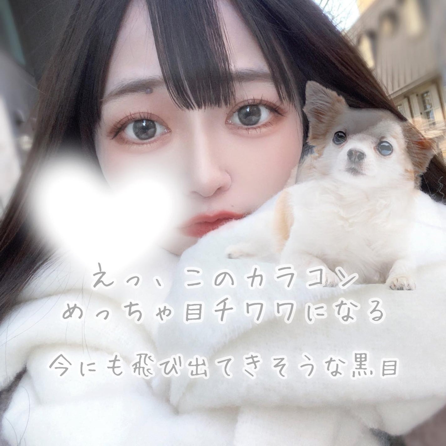 feliamo 1day/feliamo/ワンデー(1DAY)カラコンを使ったクチコミ(2枚目)