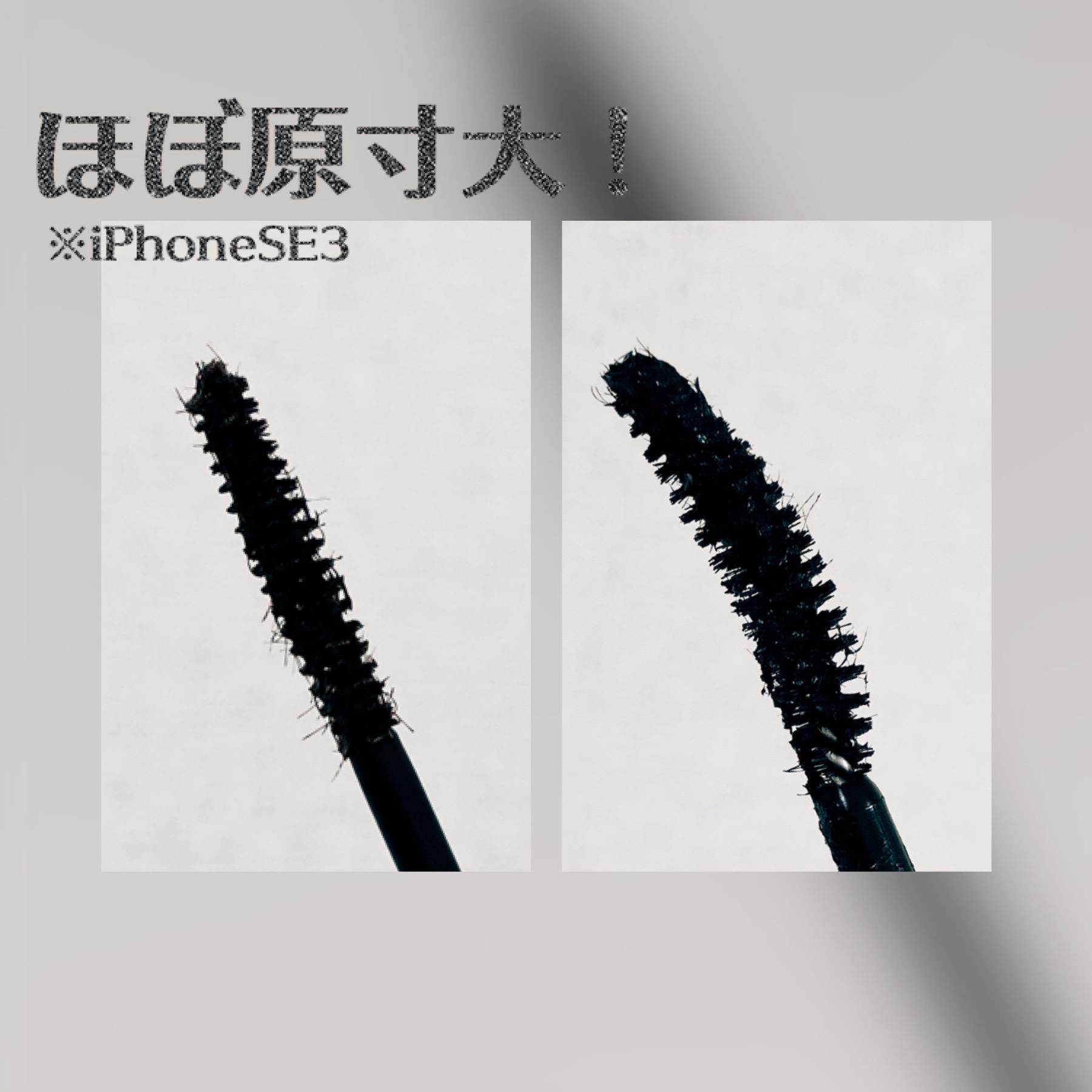 パーマネントカール フィクサー WP/FASIO/マスカラ下地を使ったクチコミ（2枚目）