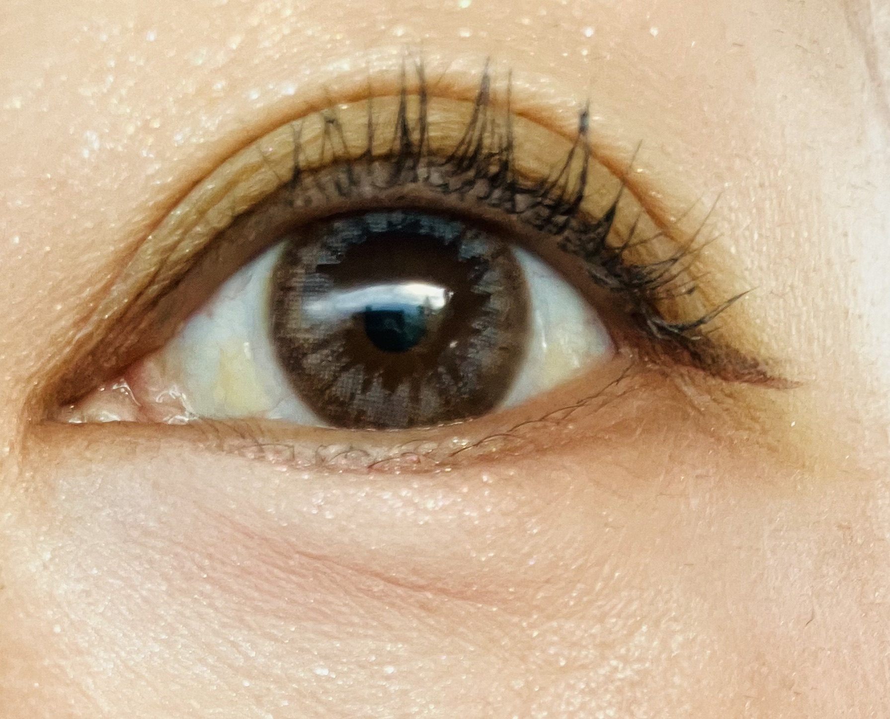 メイクアップパレット/fasmy/マルチパレットを使ったクチコミ（3枚目）