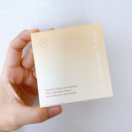 プロコンシーラーパレット/dasique/パレットコンシーラーを使ったクチコミ(10枚目)