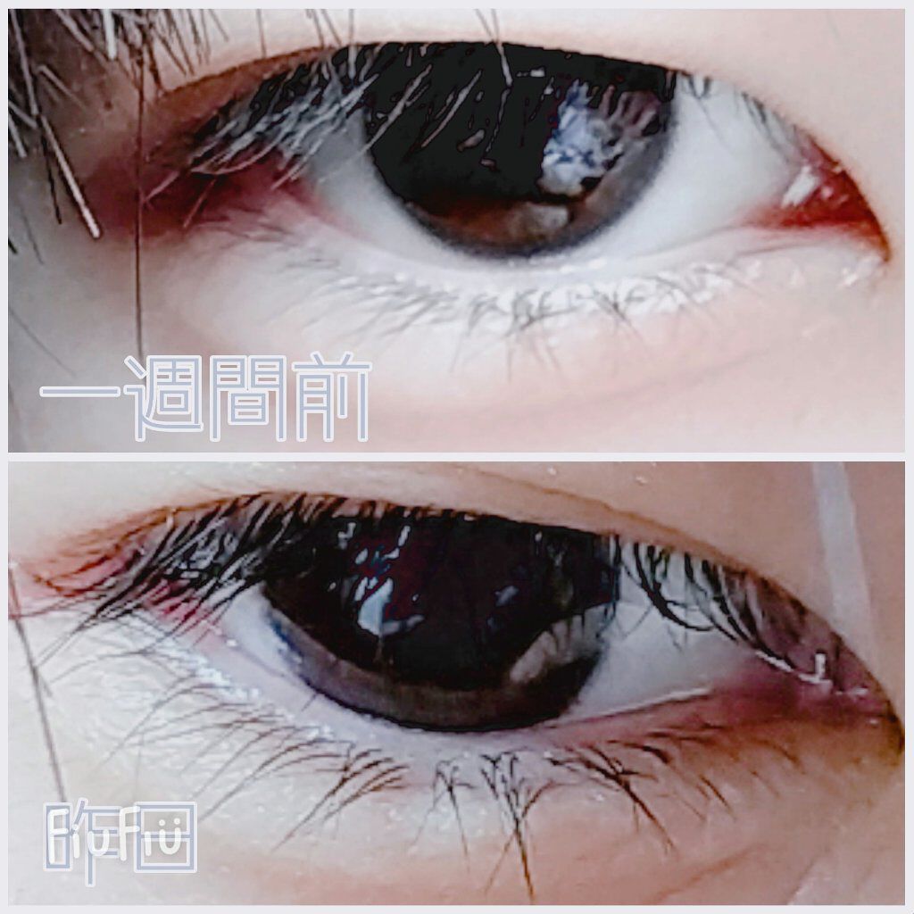 まつげ美容液EX/CEZANNE/まつげ美容液を使ったクチコミ(3枚目)