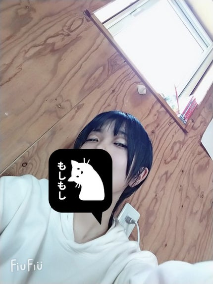 ミッシュブルーミン コラボアイラッシュ/DAISO/つけまつげを使ったクチコミ(5枚目)