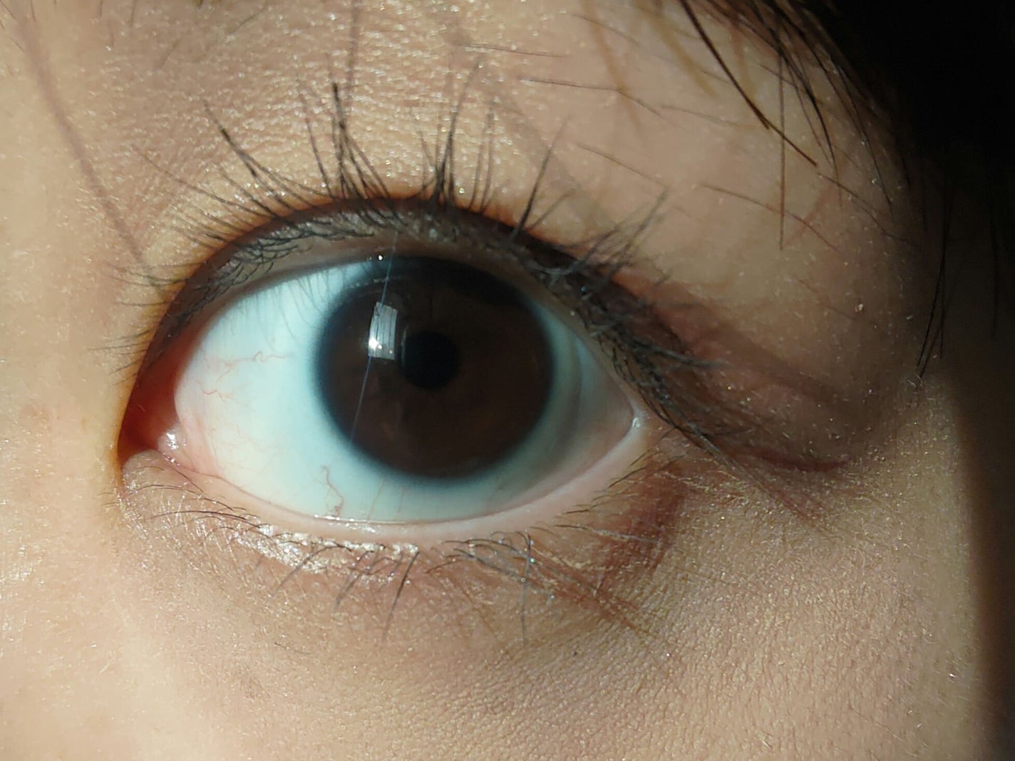 絵画アイシャドウパレット/MilleFée/アイシャドウパレットを使ったクチコミ(3枚目)