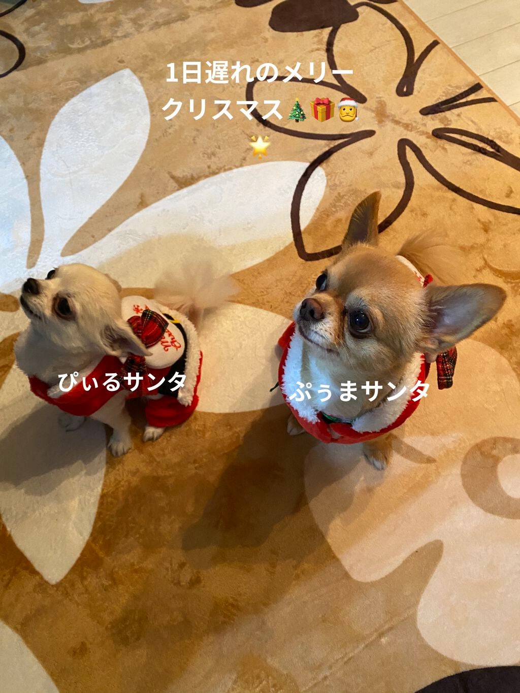 ポケモンリップクリーム/ラヴィジア/リップクリームを使ったクチコミ(7枚目)