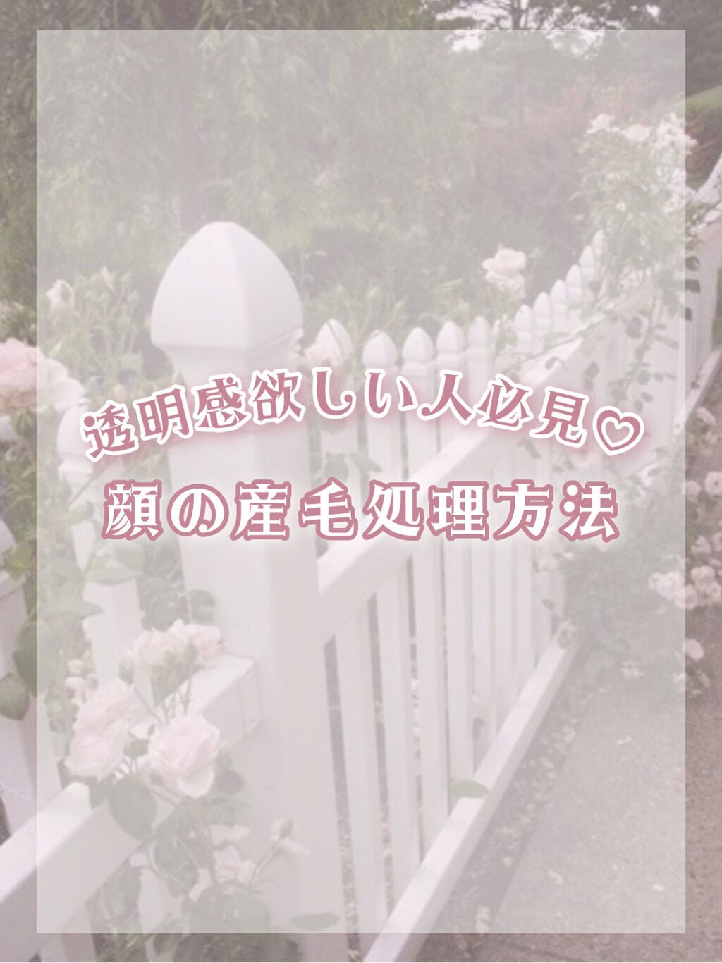 プレミア敏感肌用 Lディスポ/シック/シェーバーを使ったクチコミ(1枚目)