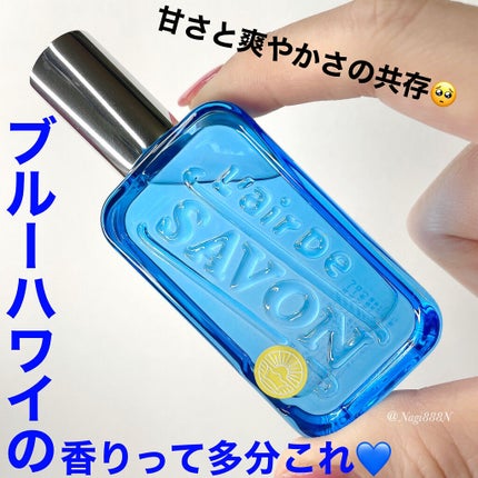 オードトワレ(ホリデーナッピング)/レールデュサボン/香水(レディース)を使ったクチコミ(1枚目)