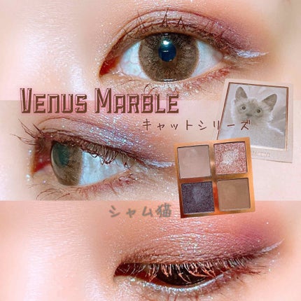 Venus Marble アイシャドウキャットシリーズ/Venus Marble/アイシャドウパレットを使ったクチコミ(1枚目)