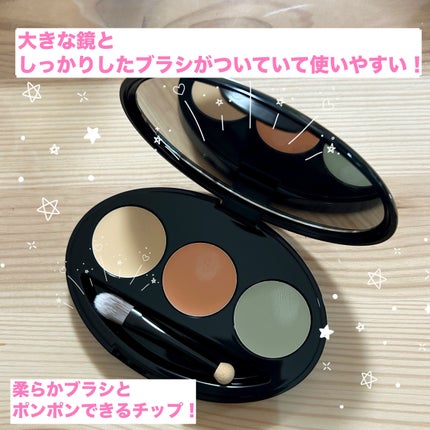 マスクフィット コンシーラーパレット 02 ミディアム/TIRTIR(ティルティル)/パレットコンシーラーを使ったクチコミ(3枚目)