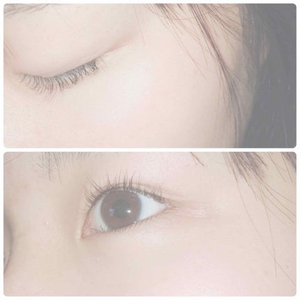 アイラッシュカーラー/SHISEIDO/ビューラーを使ったクチコミ(1枚目)