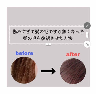 みなさん初めまして🌷

はるです🦖。

今回は僕の髪の毛事情について書いていくお🥳

私は派手髪が好きで何度もブリーチ・カラーを
したり、くせっ毛＆剛毛なのが嫌で毎日アイロンしてたらどんどん傷んでいって