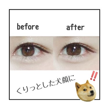 【裸眼風の色味でナチュラルに目力up】🐶💗

最近使用率の高いお気に入りのカラコン紹介😤✨
バンビシリーズでも、このナチュラルＶｅｒ．はあんまり店舗販売してない
気がする･･･🙄💭なんでやろ？🙄


•