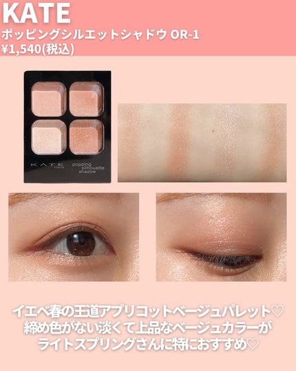 アイカラーレーション/LUNASOL/アイシャドウパレットを使ったクチコミ(5枚目)