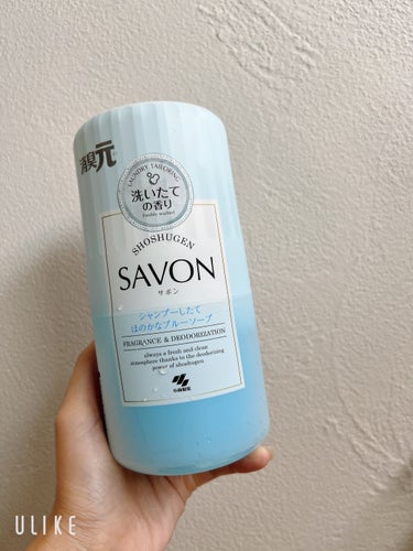 SAVON シャンプーしたてほのかなブルーソープの香り/小林製薬/その他を使ったクチコミ（1枚目）