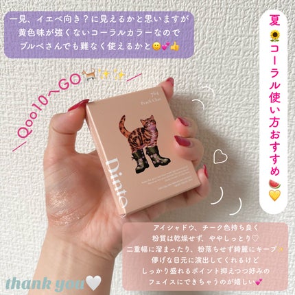 (ルシャブートコレクション)チーク&アイ マルチユーズ パレット/Dinto/パウダーチークを使ったクチコミ(7枚目)