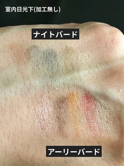 サンク クルール クチュール<バーズ オブ ア フェザー>/Dior/アイシャドウパレットを使ったクチコミ(3枚目)