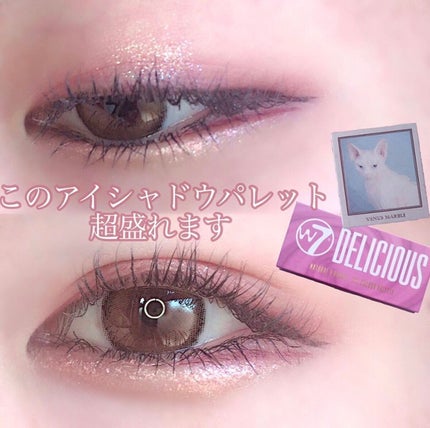 Venus Marble アイシャドウキャットシリーズ/Venus Marble/アイシャドウパレットを使ったクチコミ(1枚目)