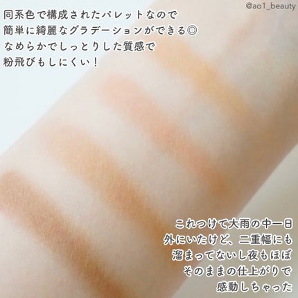 パーフェクトマルチアイズ/キャンメイク/アイシャドウパレットを使ったクチコミ(3枚目)