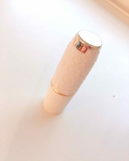 ラスティング リップカラーN/CEZANNE/口紅を使ったクチコミ(1枚目)