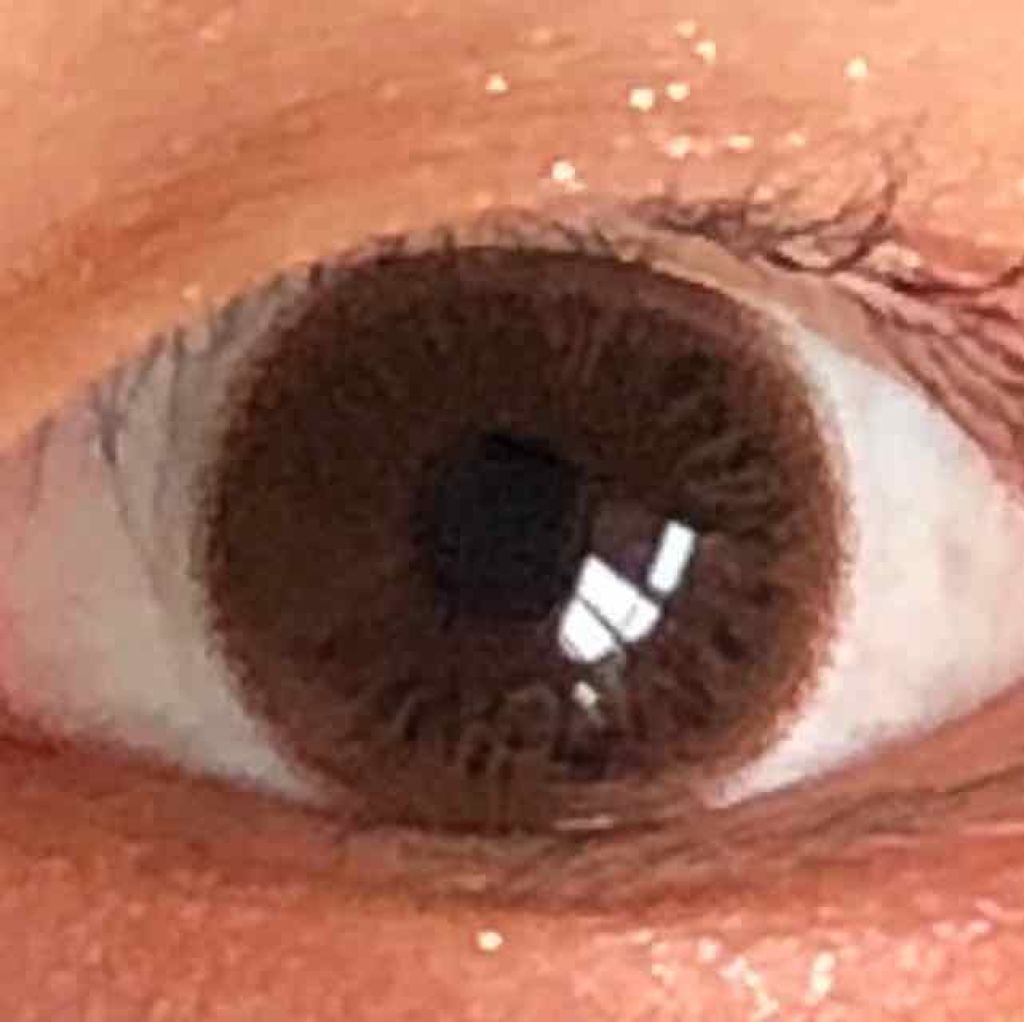 FAIRY1DAY Romantic series/FAIRY/ワンデー(1DAY)カラコンを使ったクチコミ(2枚目)