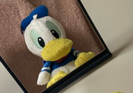 リアルックミラー/ロージーローザ/その他化粧小物を使ったクチコミ(4枚目)