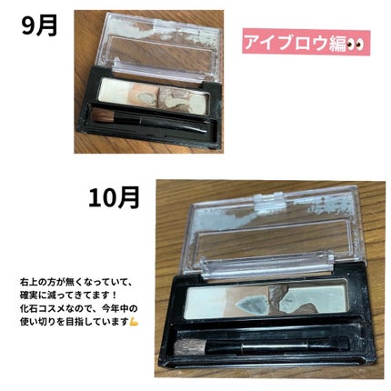 トーンアップアイシャドウ/CEZANNE/アイシャドウパレットを使ったクチコミ(3枚目)