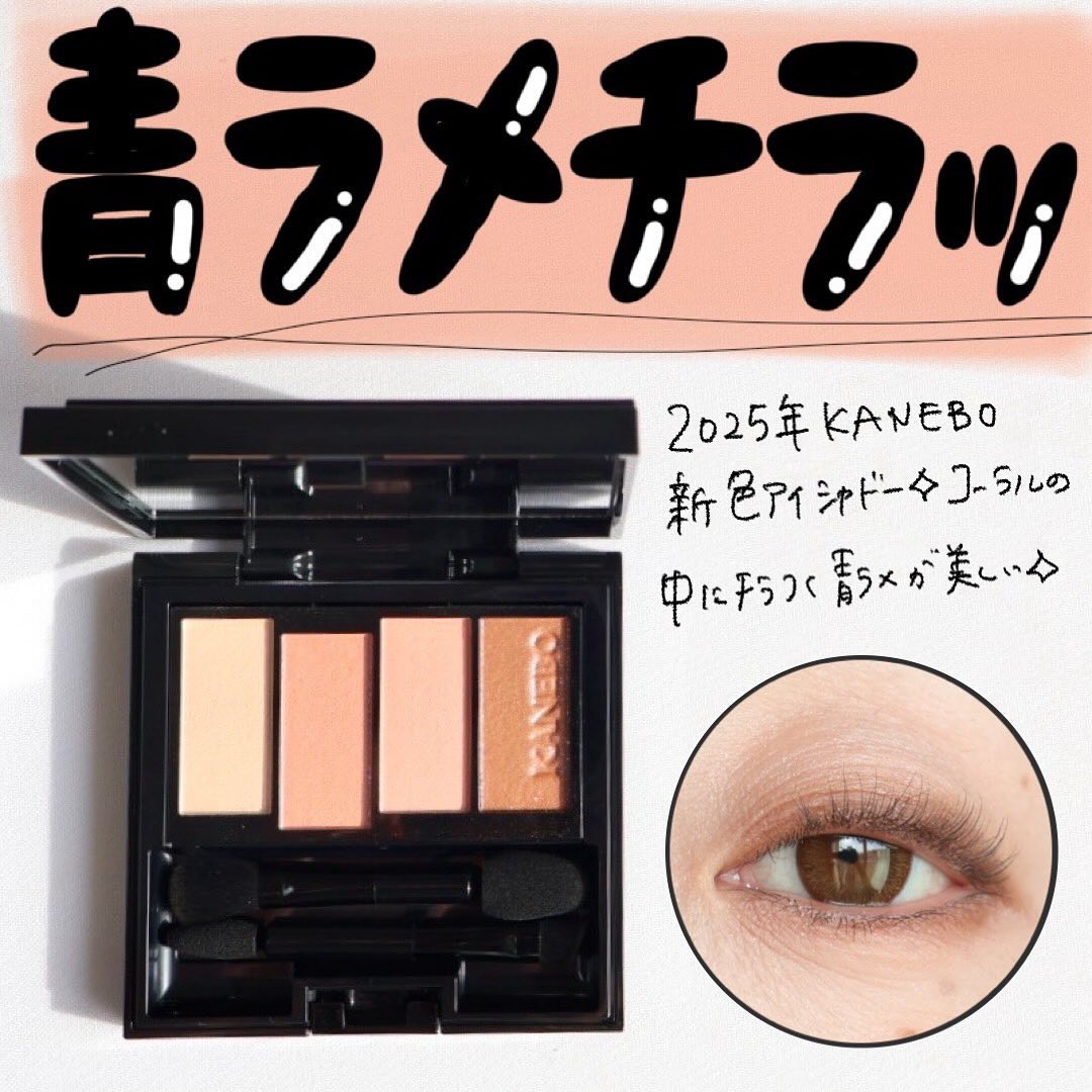 カラードシャドウ/KANEBO/アイシャドウパレットを使ったクチコミ（1枚目）