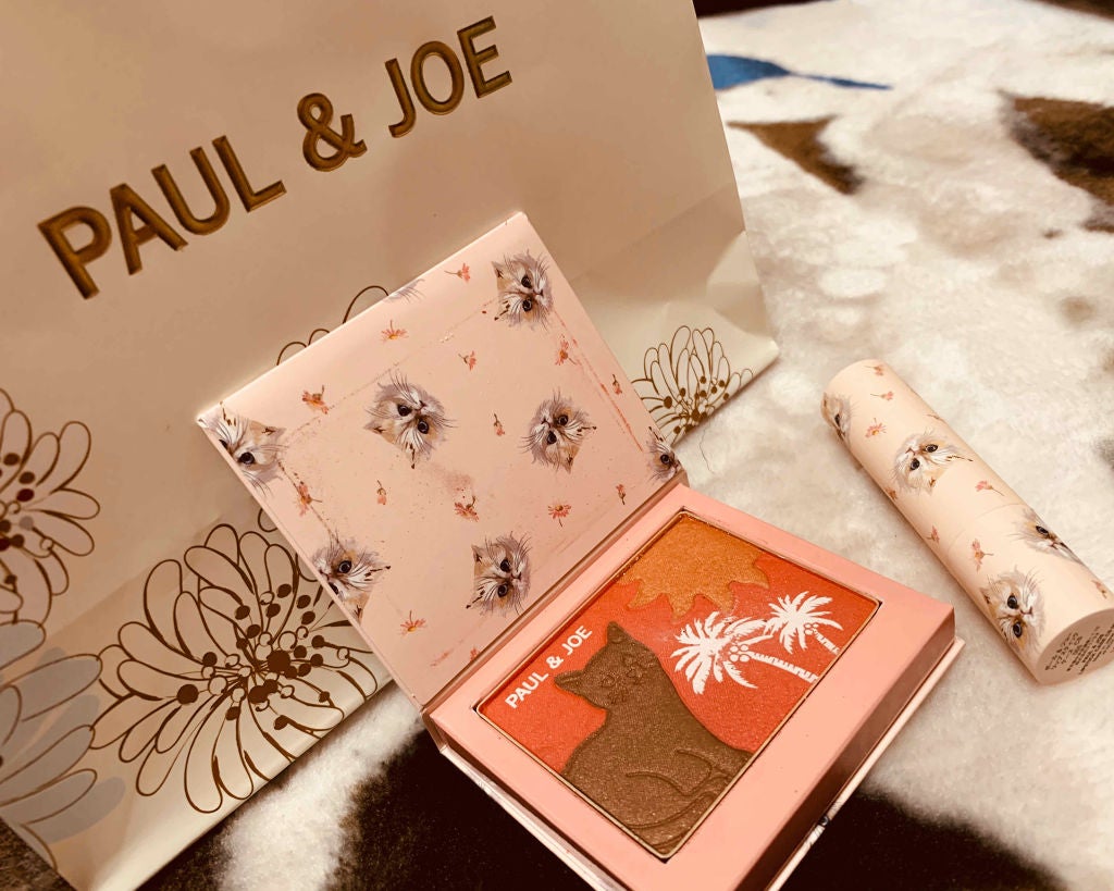 リップスティック N/PAUL & JOE BEAUTE/口紅を使ったクチコミ(1枚目)