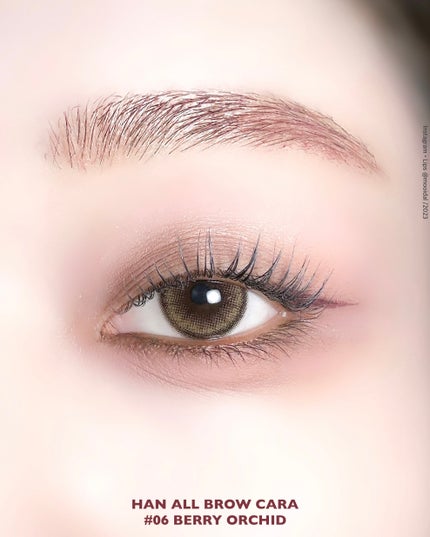 ハンオールブロウカラ/rom&nd/眉マスカラを使ったクチコミ(5枚目)