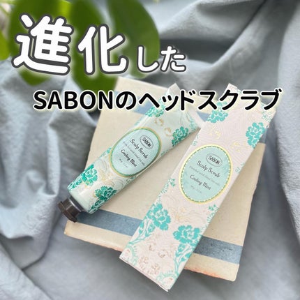 ヘッドスクラブ リフレッシング(ミント)/SABON/ヘッドスクラブを使ったクチコミ(1枚目)